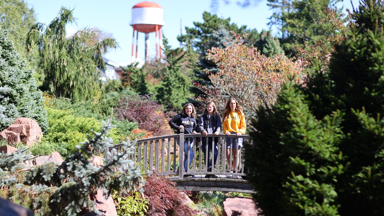 Students standing on wooden footbridge with water tower in background.