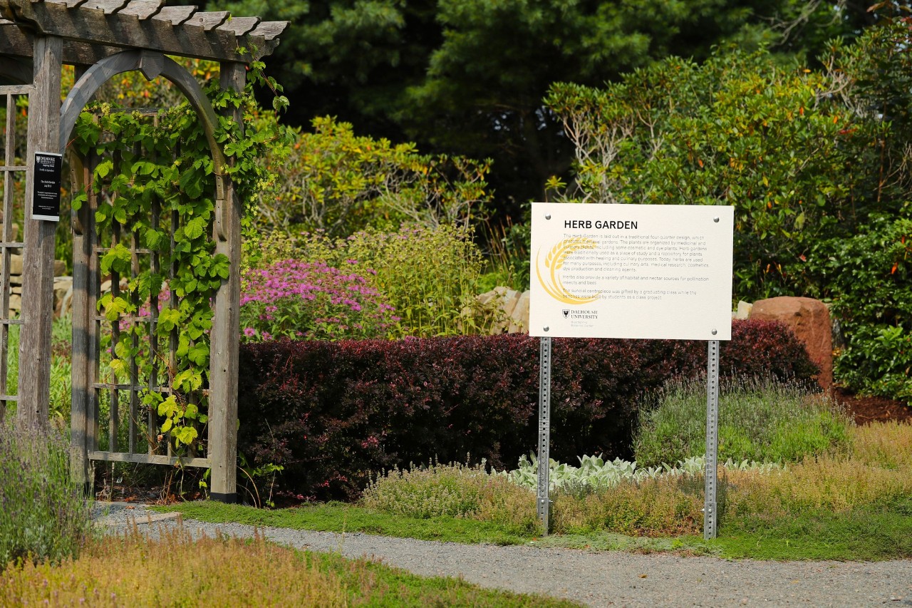 A white sign says Herb Garden in bold letters outside a green garden with wooden archway.