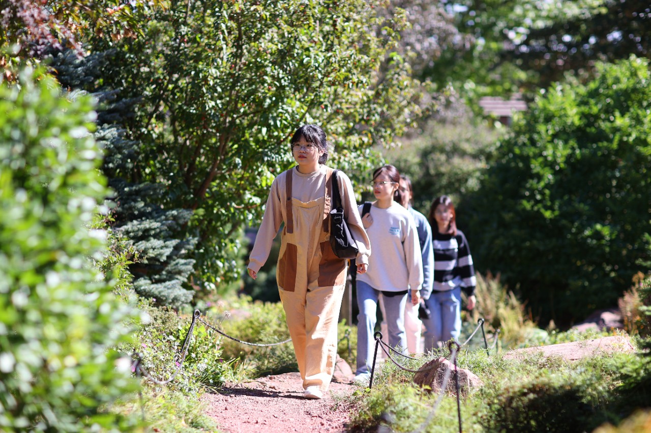 Students walking on path in rock garden