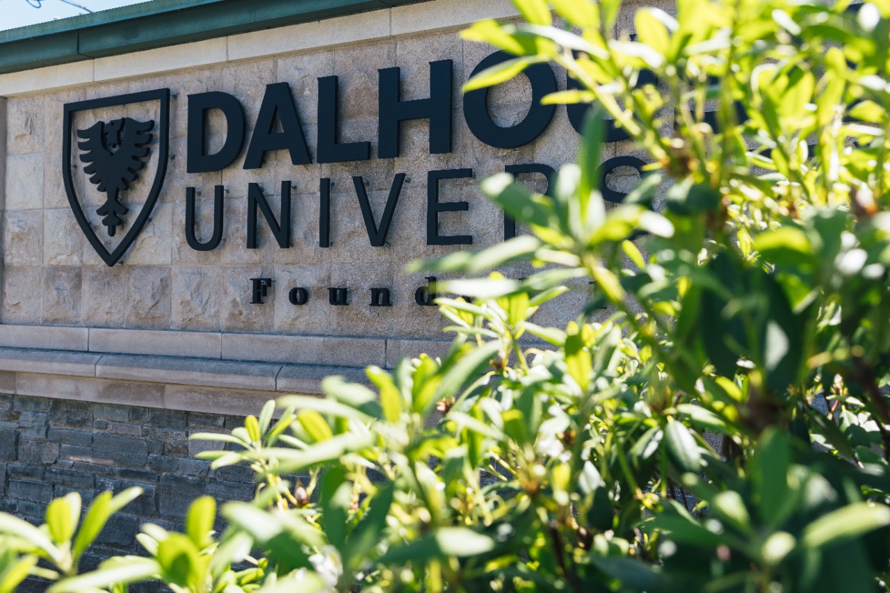 A stone sign that says Dalhousie University is visible behind some green foliage. 