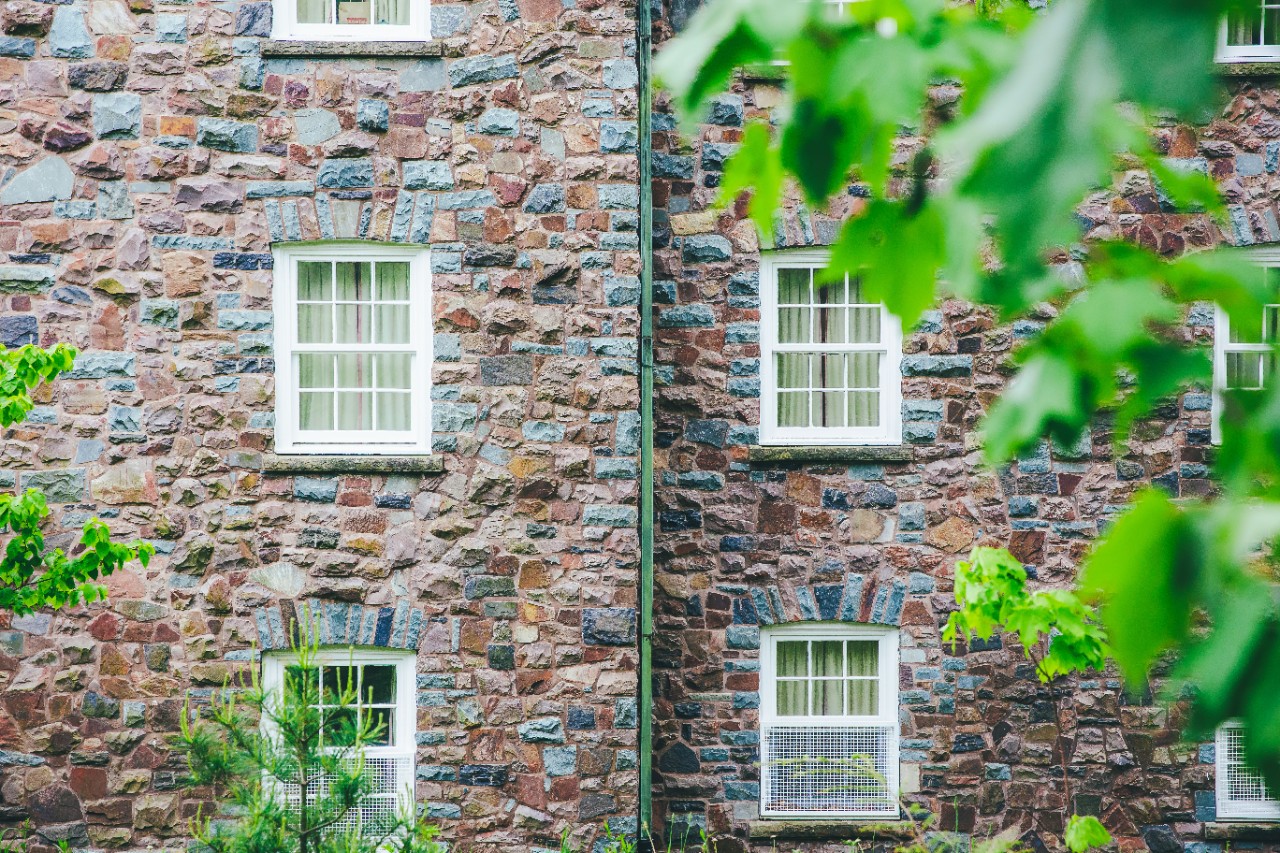 Green leaves are blurred in the foreground with the side of a stone building with windows in the background.