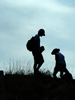 Silhouettes