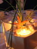 Centrepiece