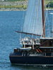 Tall Ships Family Day