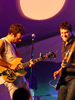 Field of fun at DalFest