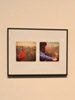 Snapshot series