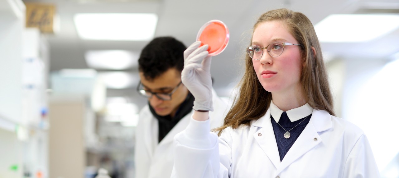 Dalhousie science students wearing white coats conduct research in a lab