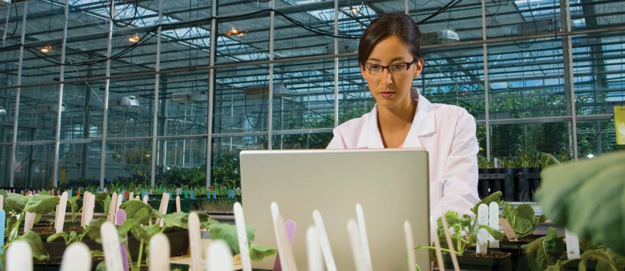 A scientist uses their laptop in the greenhouse