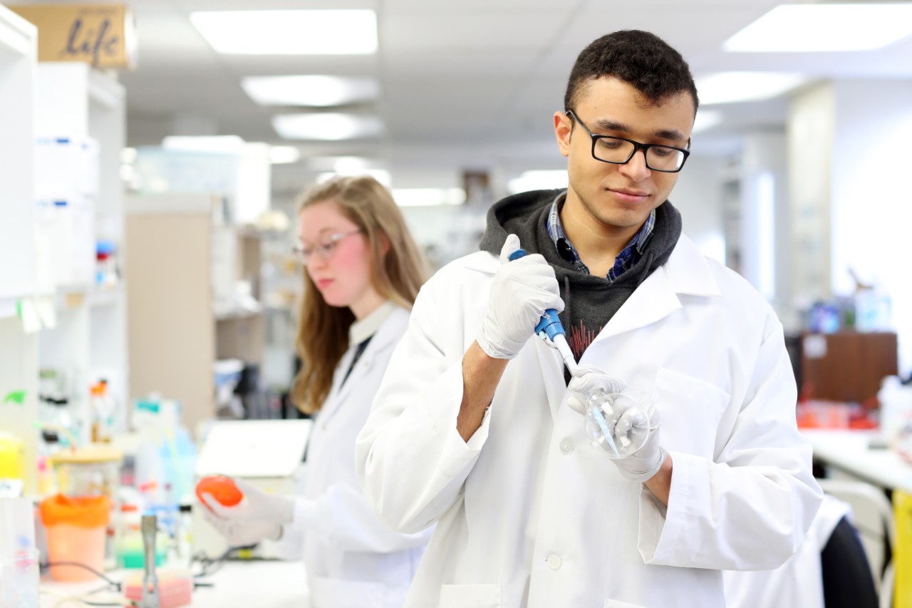 Dalhousie science students share a lab bench while they conduct research in a lab