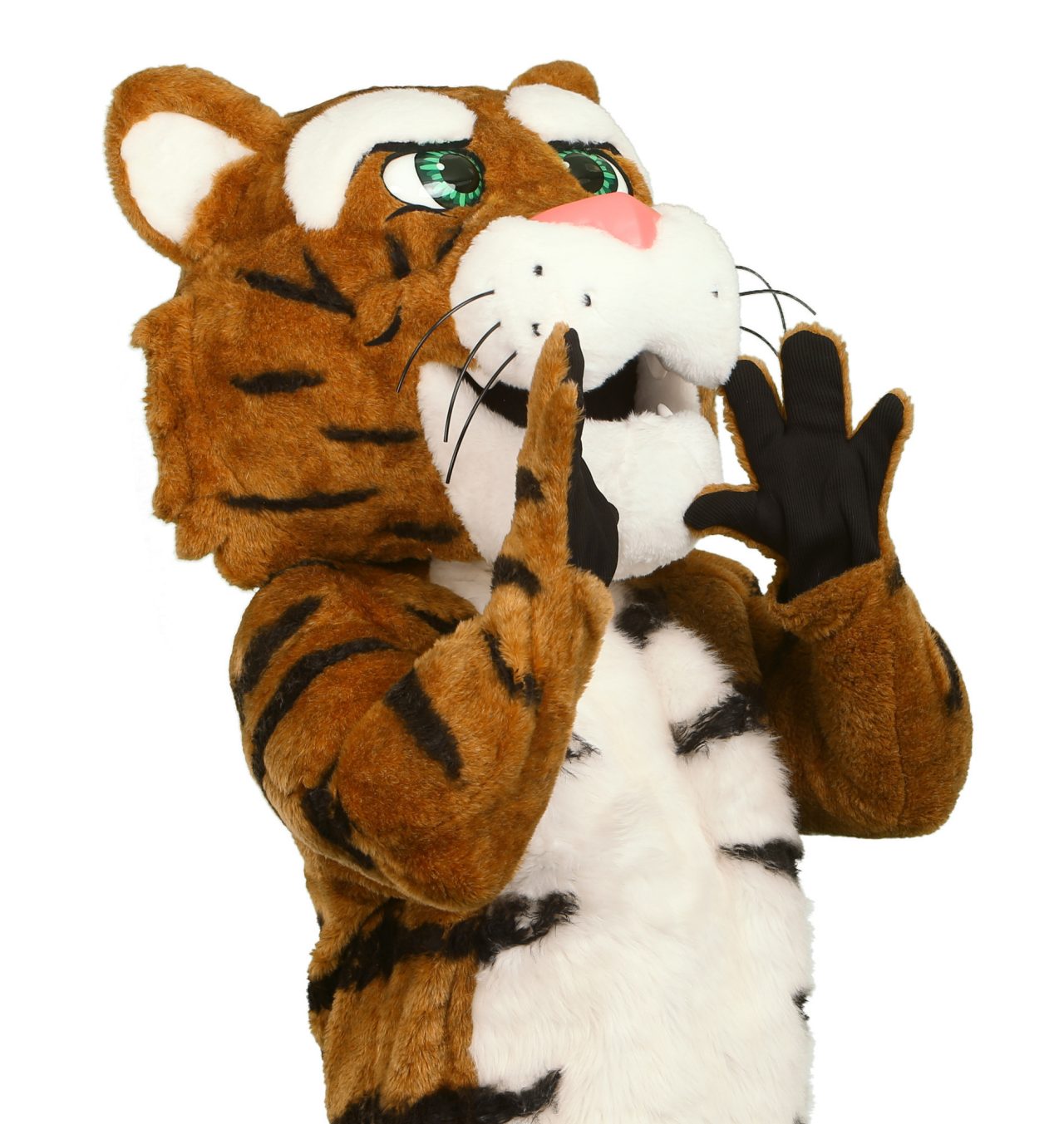 Dalhousie Tiger mascot cheering