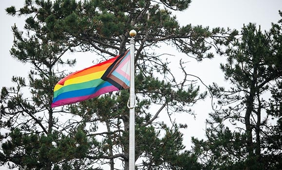 A Progress Pride Flag is seen flying in front of a blue sky and trees.