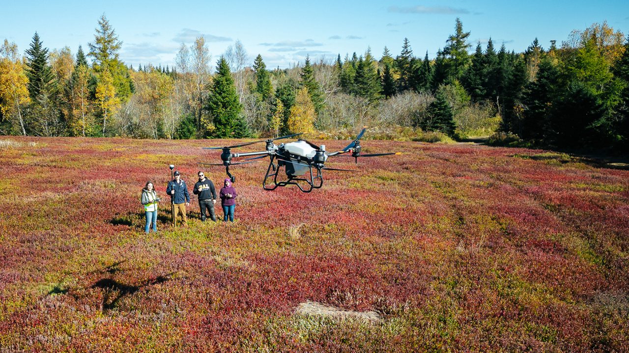 two researchers examining plants