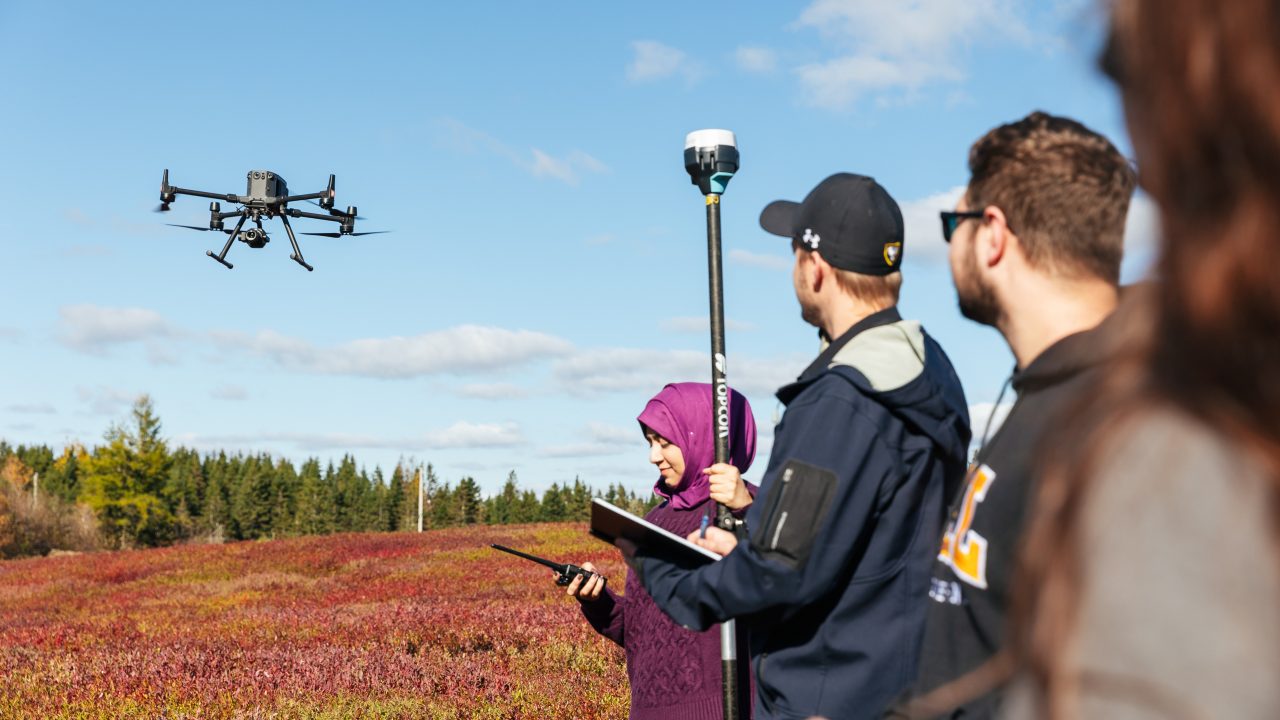 drone research for wild blueberry fields