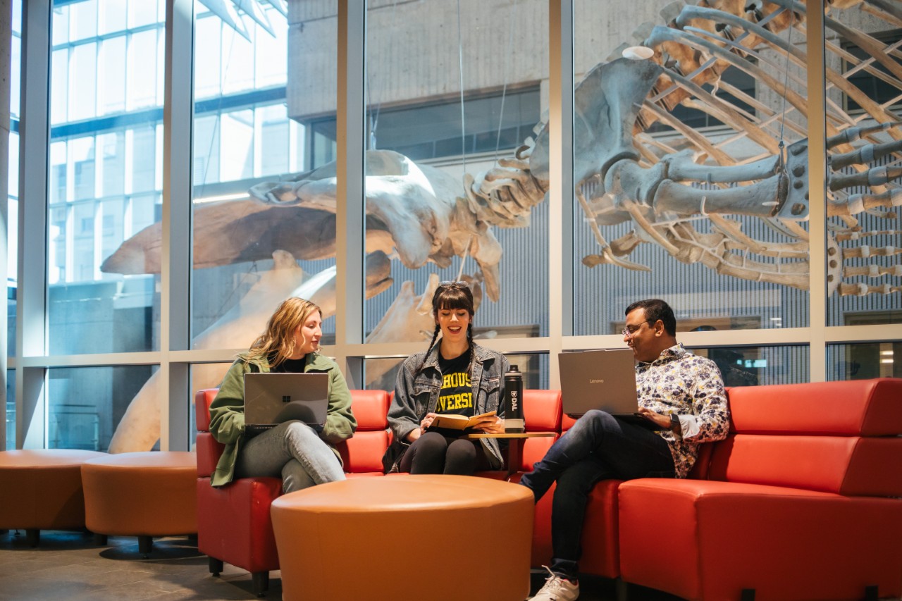 Three students sit on an orange sofa working on laptops. Behind them, windows overlook an atrium with a suspended whale skeleton.