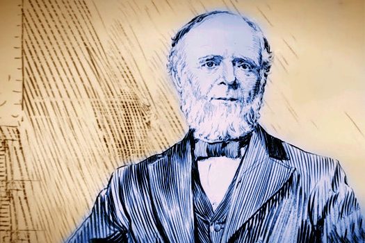 lilacs on Studley quad