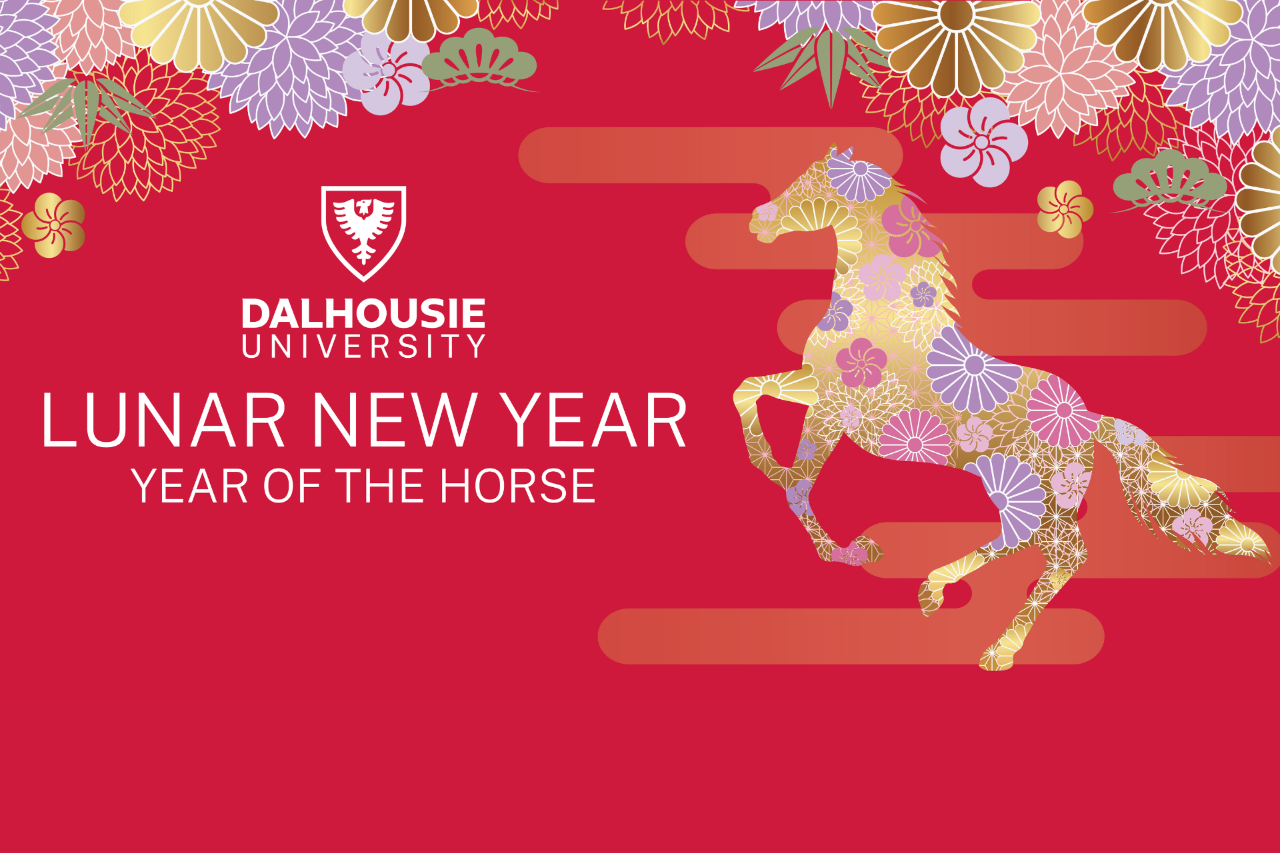 Lunar New Year the year of the horse