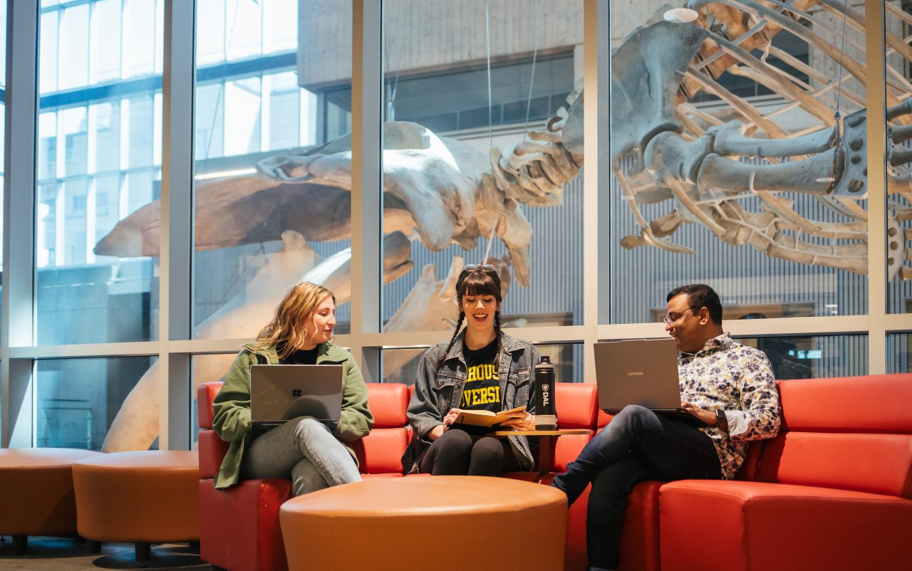 Three students sit on an orange sofa working on laptops. Behind them, windows overlook an atrium with a suspended whale skeleton.