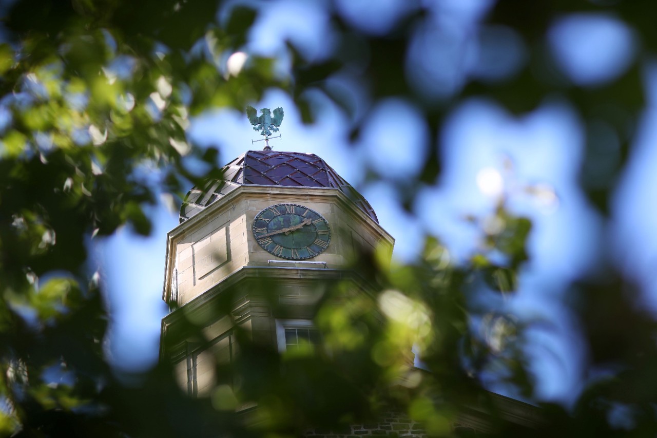 Green foliage is blurred around an image of the clock tower on Dal's Henry Hicks Building.