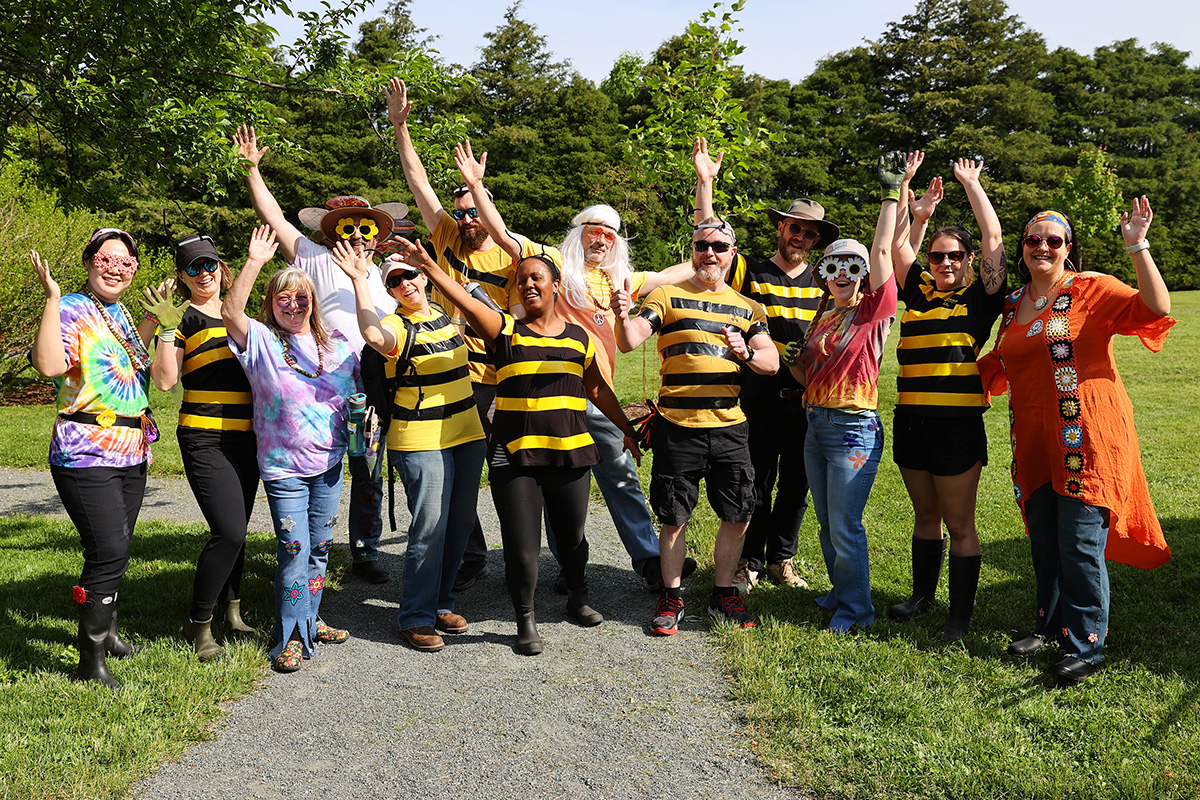 A group of volunteers
