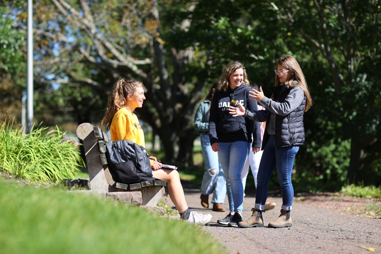 Students talking outside by a bench. One student is sitting, while the others gather around.