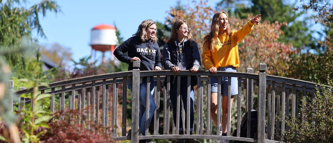 3 students stand on footbridge. One is pointing into the distance.
