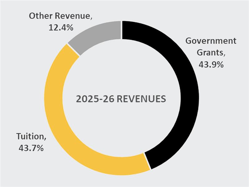 A circular graph showing revenues.