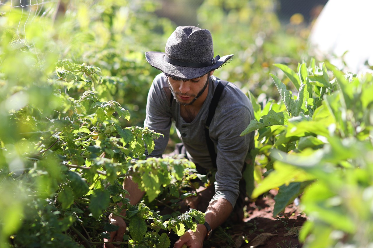 Man in hat farms vegetables.
