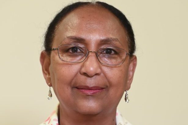 Headshot of Huwaida Medani