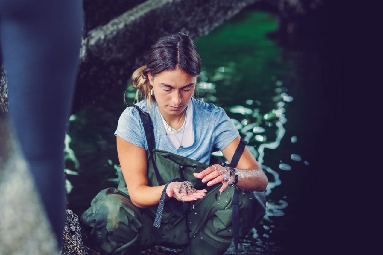 A student wearing waders crouches in water and examines a starfish