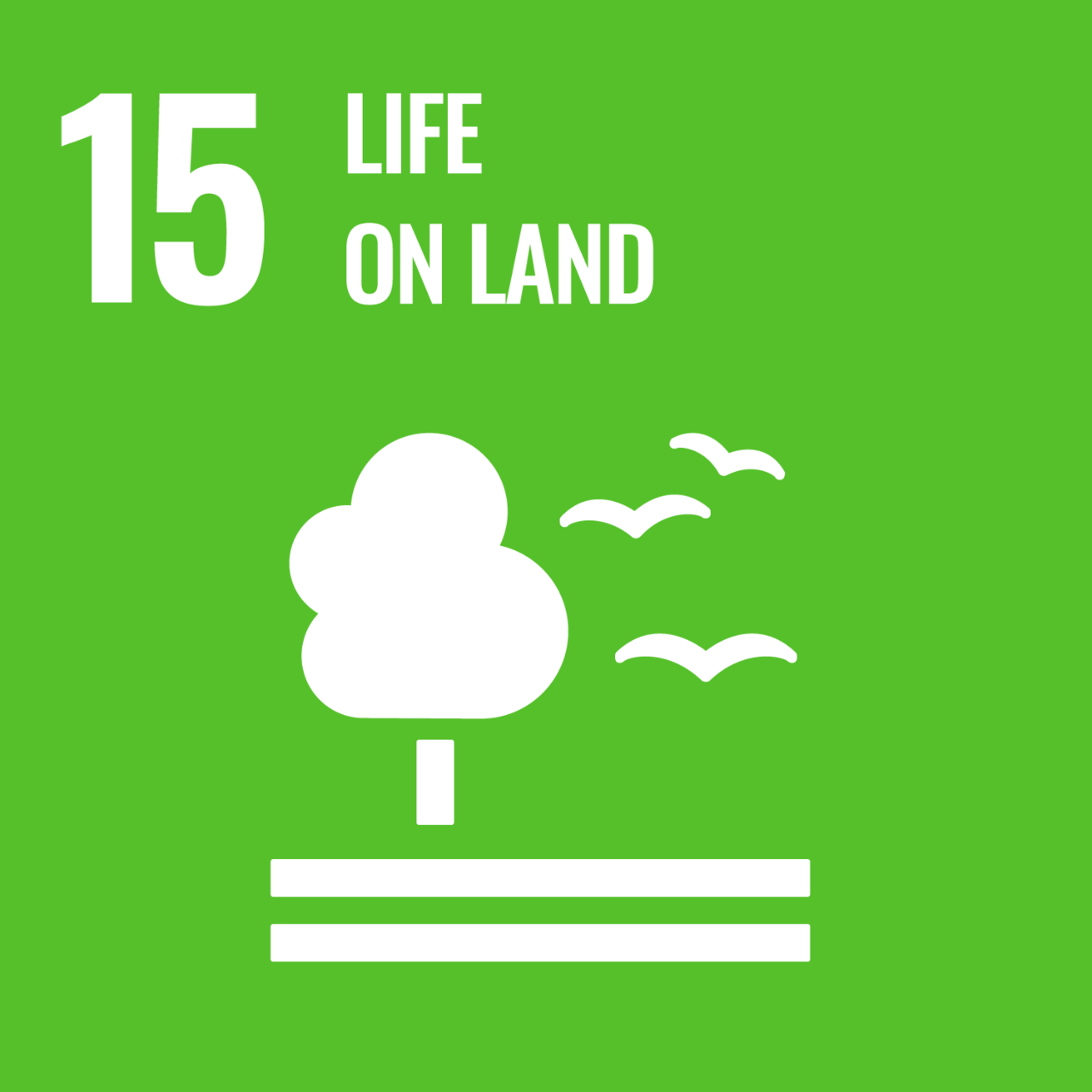Green icon with graphic of tree and birds to represent UNSDG Goal 15: Life on Land.