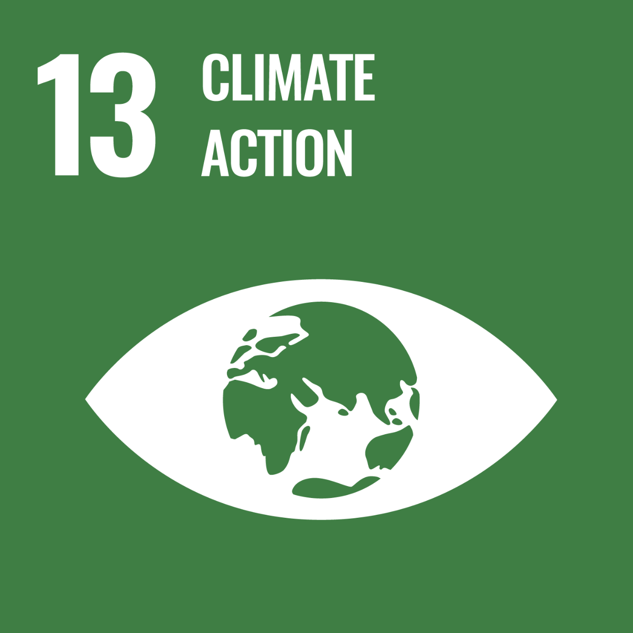 Green icon with graphic of the globe in an eye to represent UNSDG Goal 13: Climate Action.