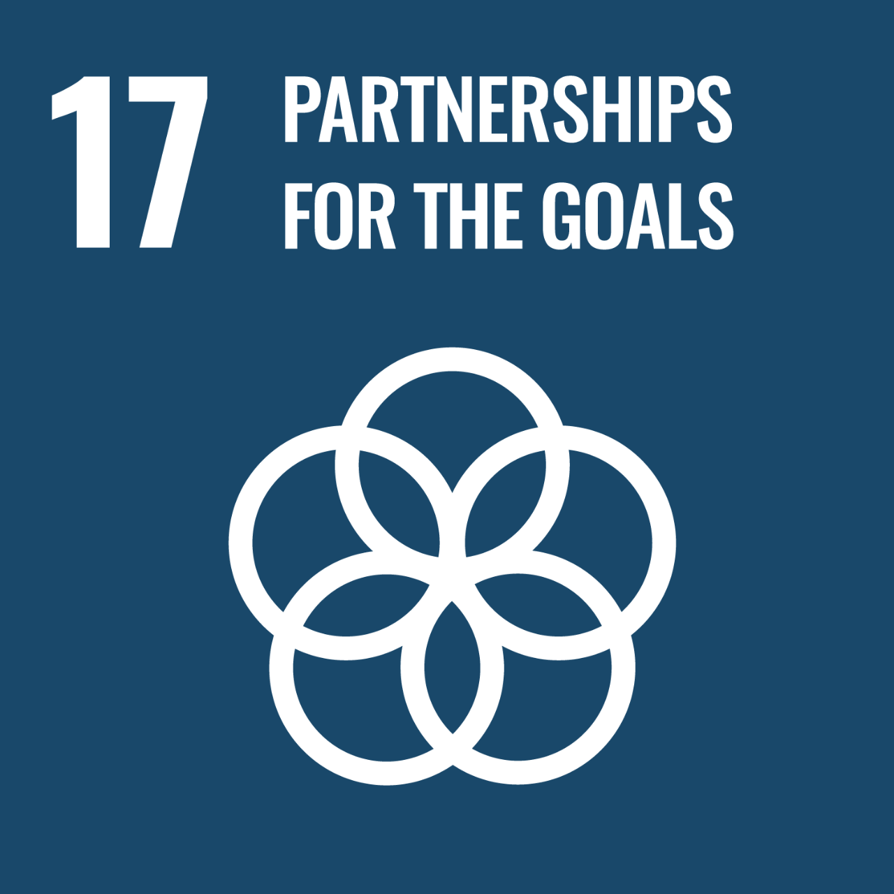 Blue icon with graphic of interconnected circles to represent UNSDG Goal 17: Partnerships for the Goals.