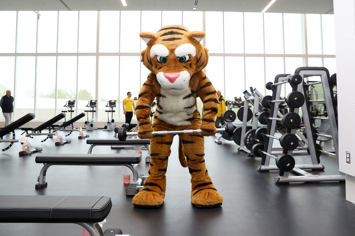 Dal Tiger mascot lifts weights at gym.