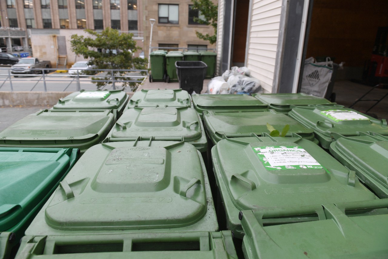 A collection of green compost bins.