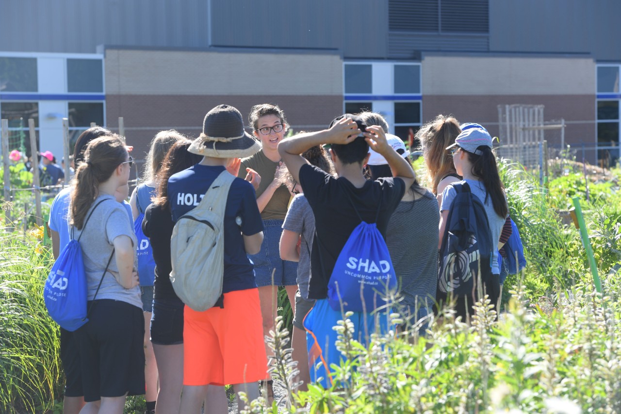 A group of students stand around an instructor in Dal's urban garden. 