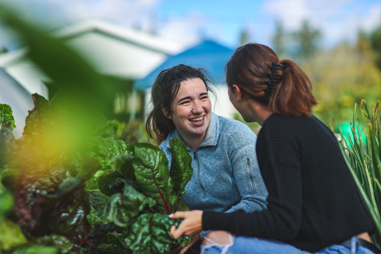 Students working and chatting in a garden.