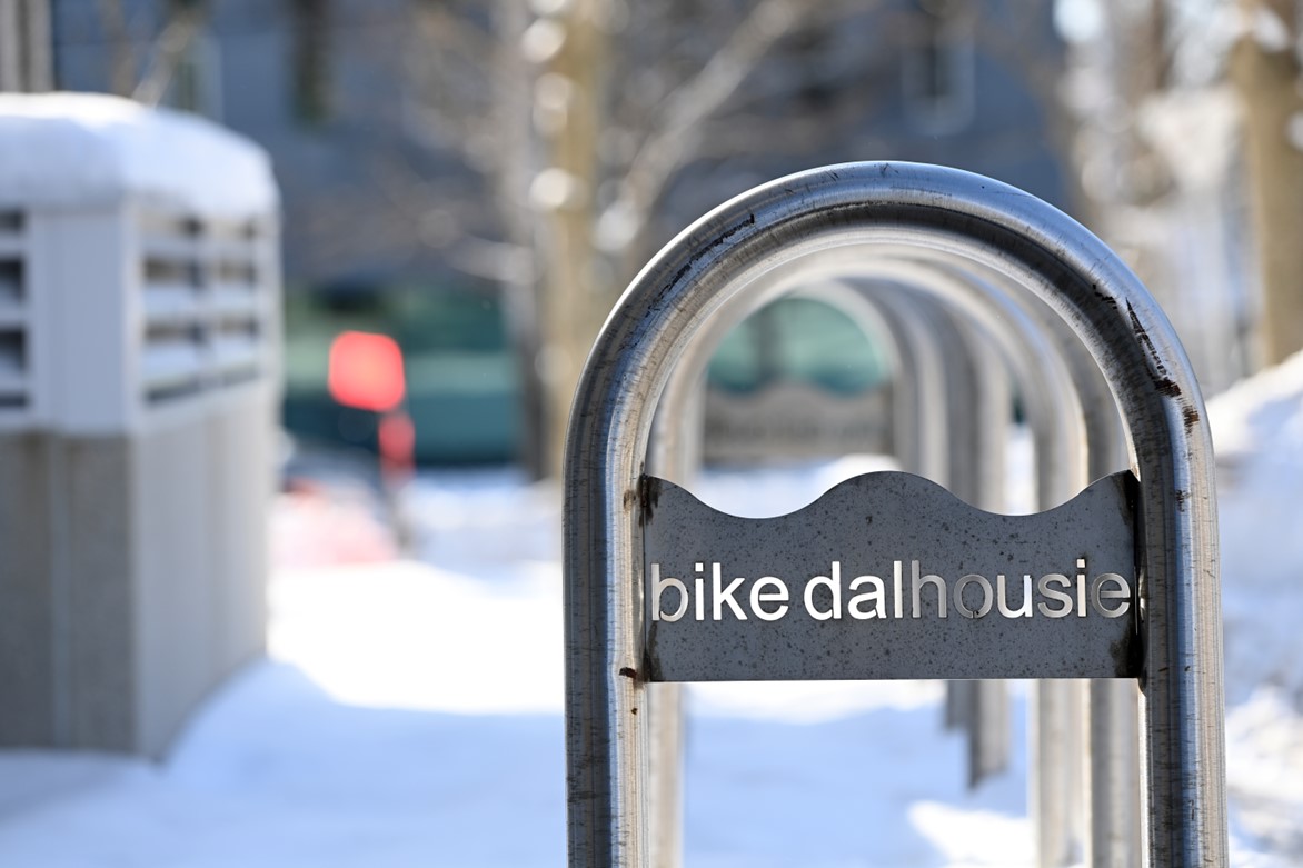 An outdoor bike rack with a sign that says 'bike dalhousie' on a sunny winter day.
