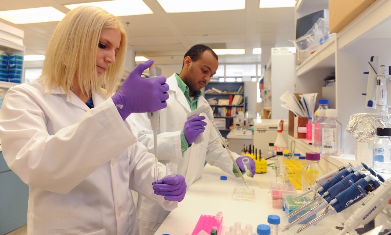 Researchers doing studies on microbiology and immunology in a Dalhousie lab