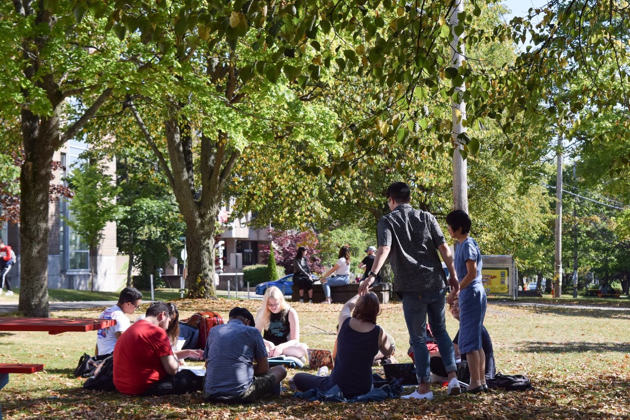 A group of students sit and stand in a circle on the grass with trees in the background.