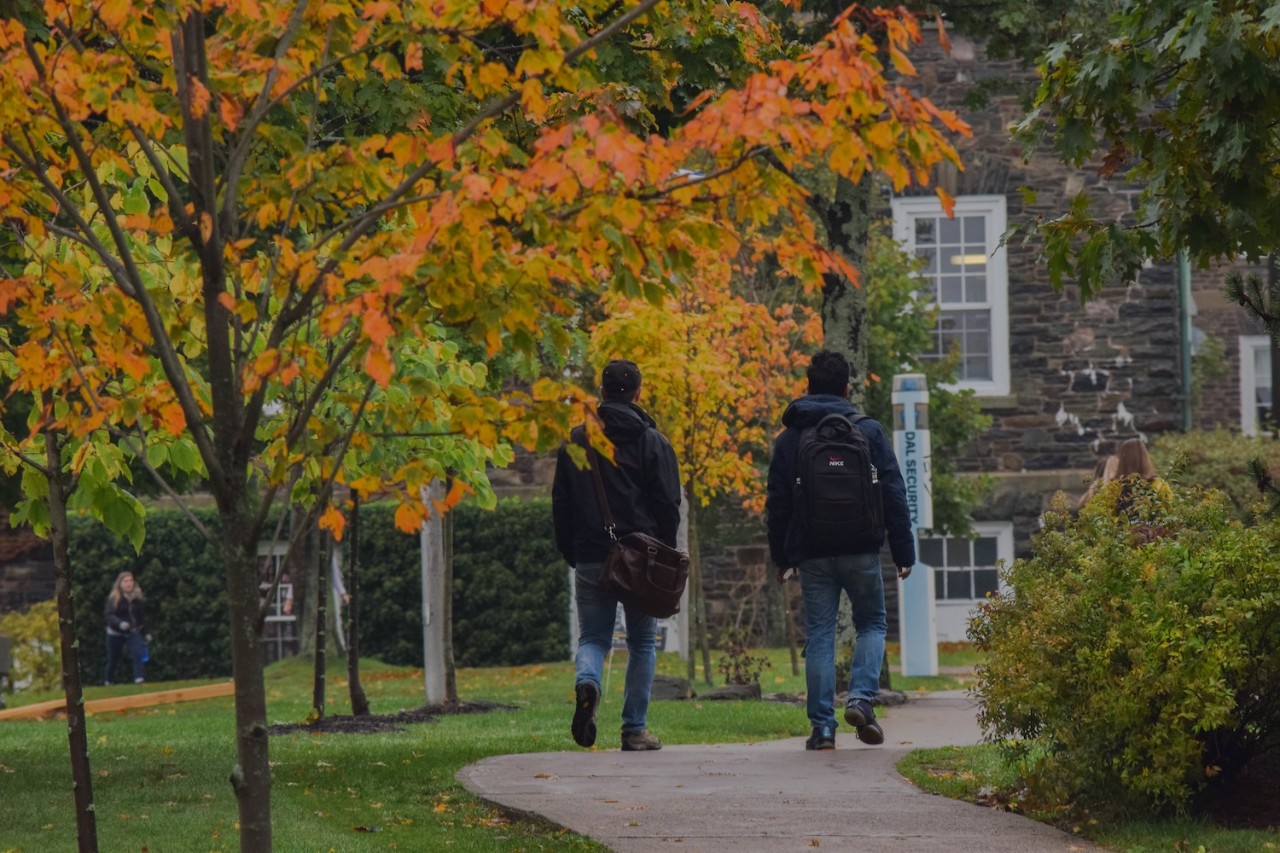 Students walk along a path beside trees full of bright fall colours.