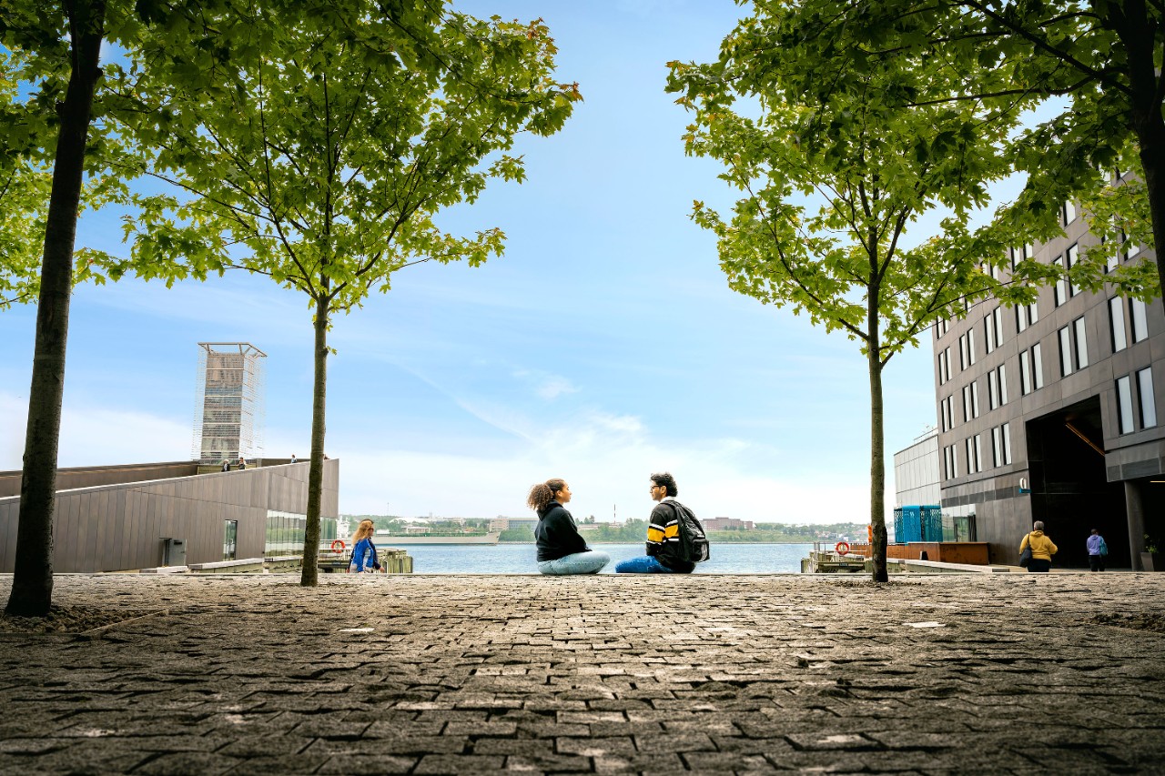 Students sit on cobbled courtyard facing each other with Halifax harbour in the background.