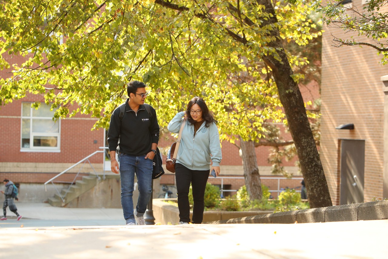 Two students walking near a large tree in the spring.