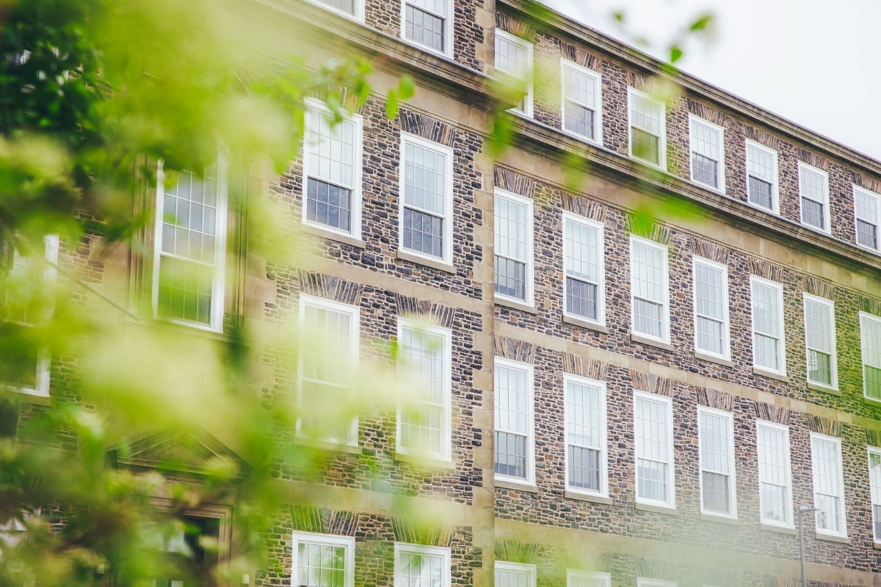 Blurred green leaves in the foreground with the stone exterior of Dal's Henry Hicks building focused in the background.