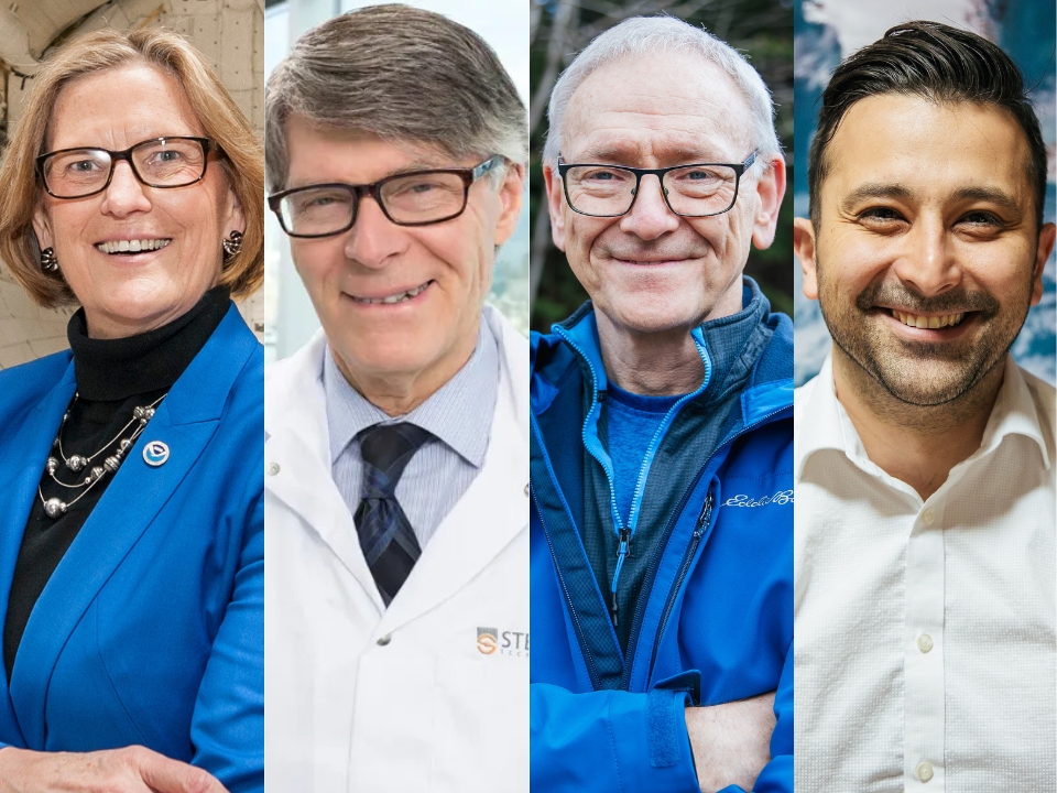 A collage of the four award recipients.