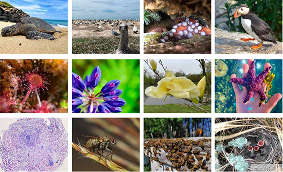 The 12 photographs included in the Science as Art 2023 calendar