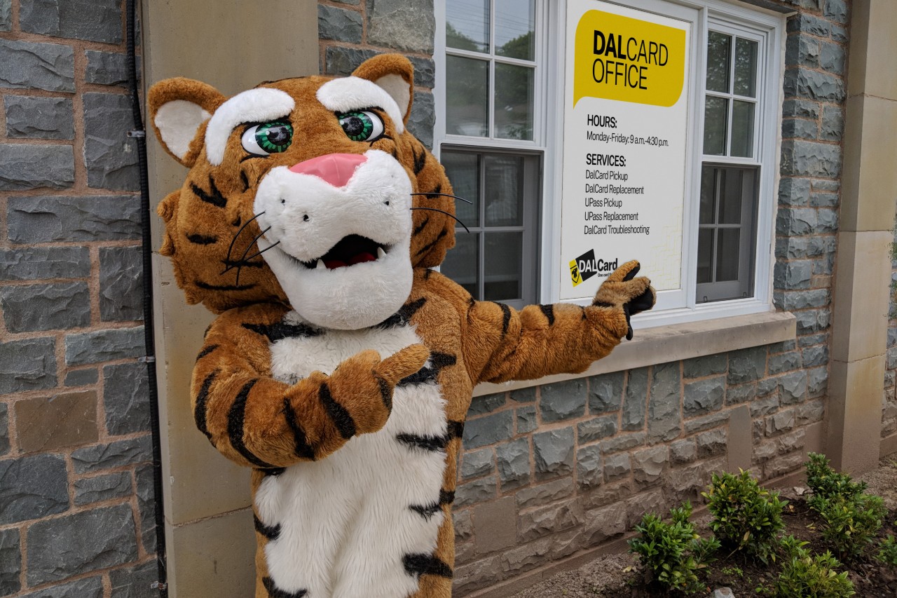 The Dal Tiger mascot stands outside the DalCard office in Howe Hall, gesturing toward the door and a window covered with a DalCard sign. 