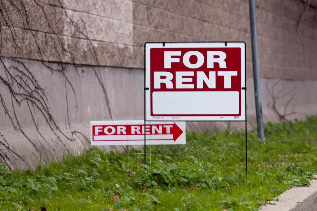 For rent signs sticking into a grassy area on the side of the road