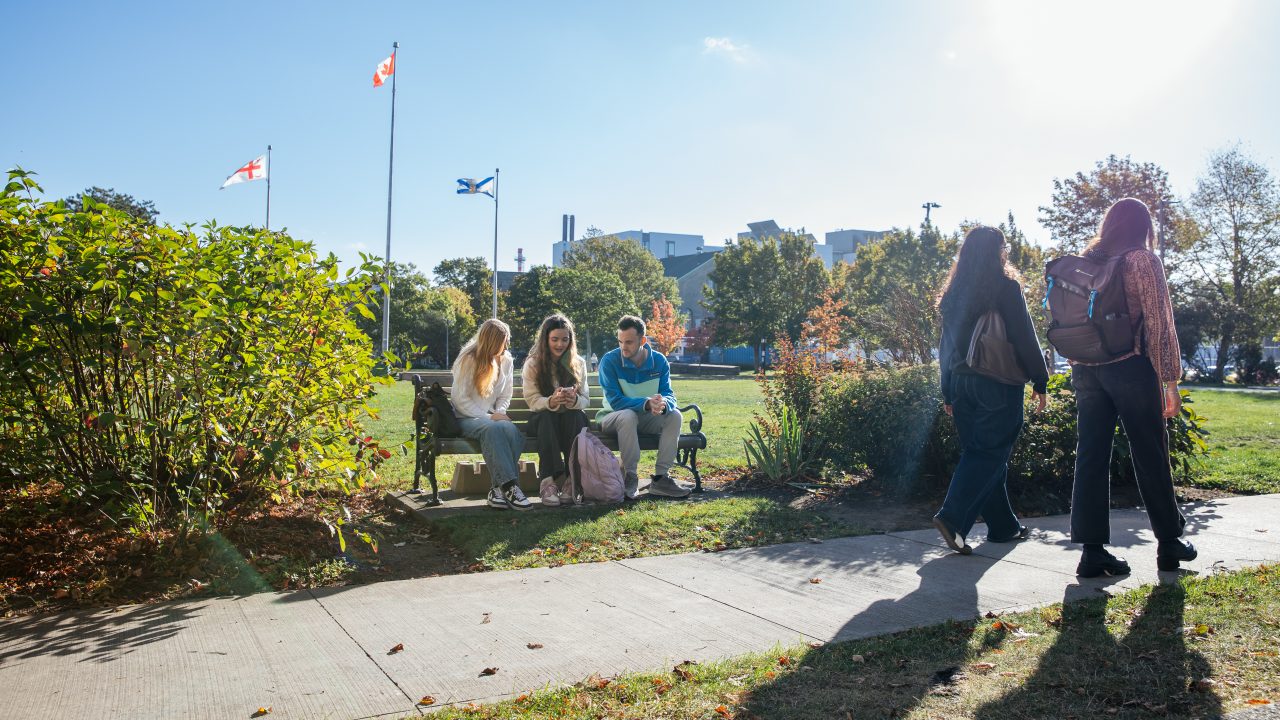 Three students sit on a bench on a sunny fall day, talking as two students wearing backpacks walk past.