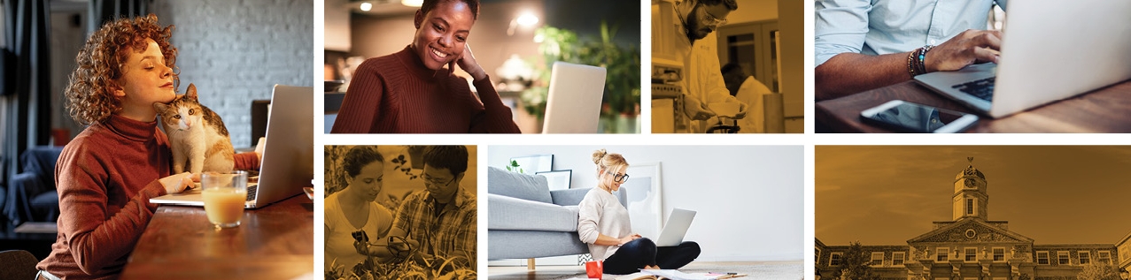 A collage of students using laptops.