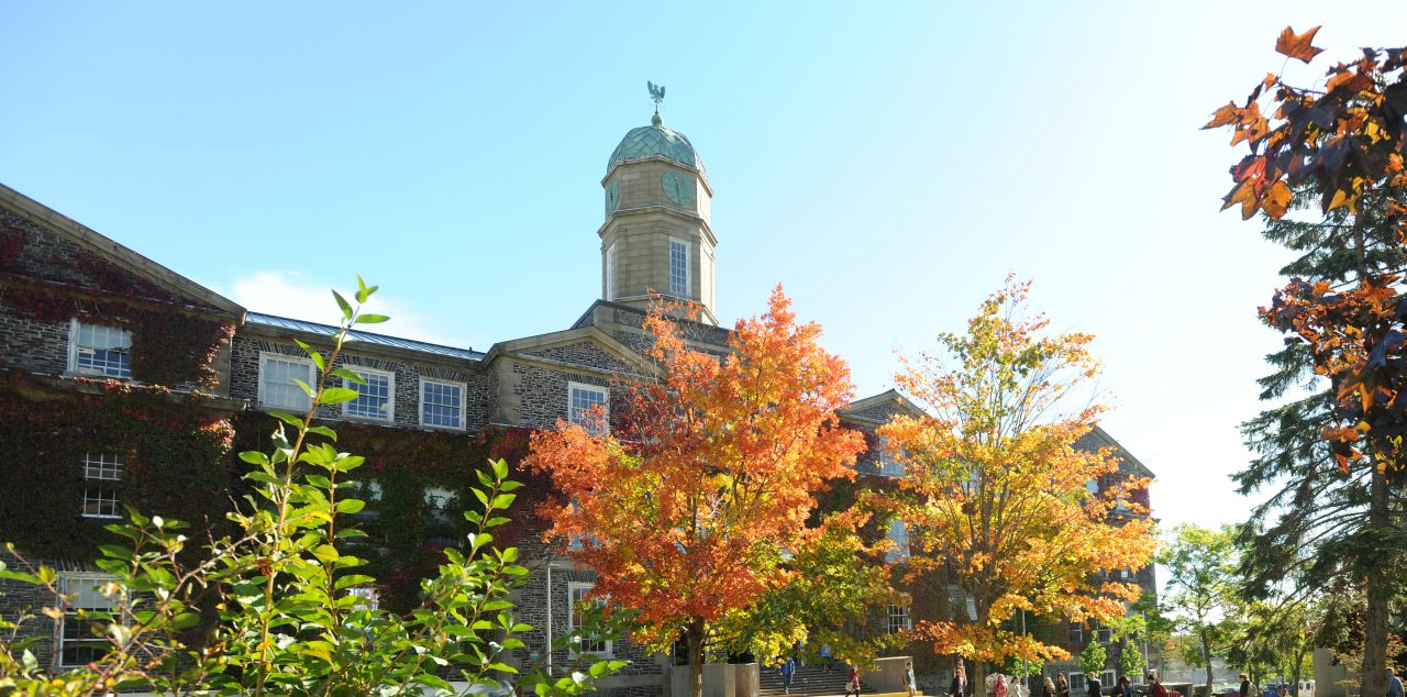 A view of the Henry Hicks Building from green space with autumn leaves on trees in red yellow and orange hues.